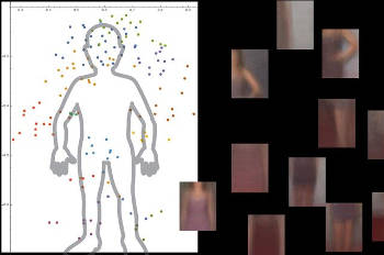 The system understands what a human body is by looking at thousands of images with people in them, and then ignoring nonessential background objects. Image credit: UCLA