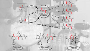 Selektive Synthese von 1,4-Dicarbonylverbindungen mit Sulfoxiden sowie bedeutende Wirkstoffvertreter, die die 1,4-Dicarbonyleinheit enthalten. Image credit: © Nuno Maulide Group